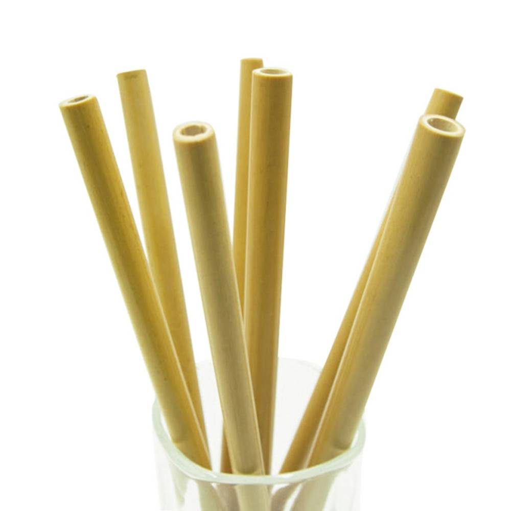 Reusable Bamboo Drinking Straws 10 pcs Set